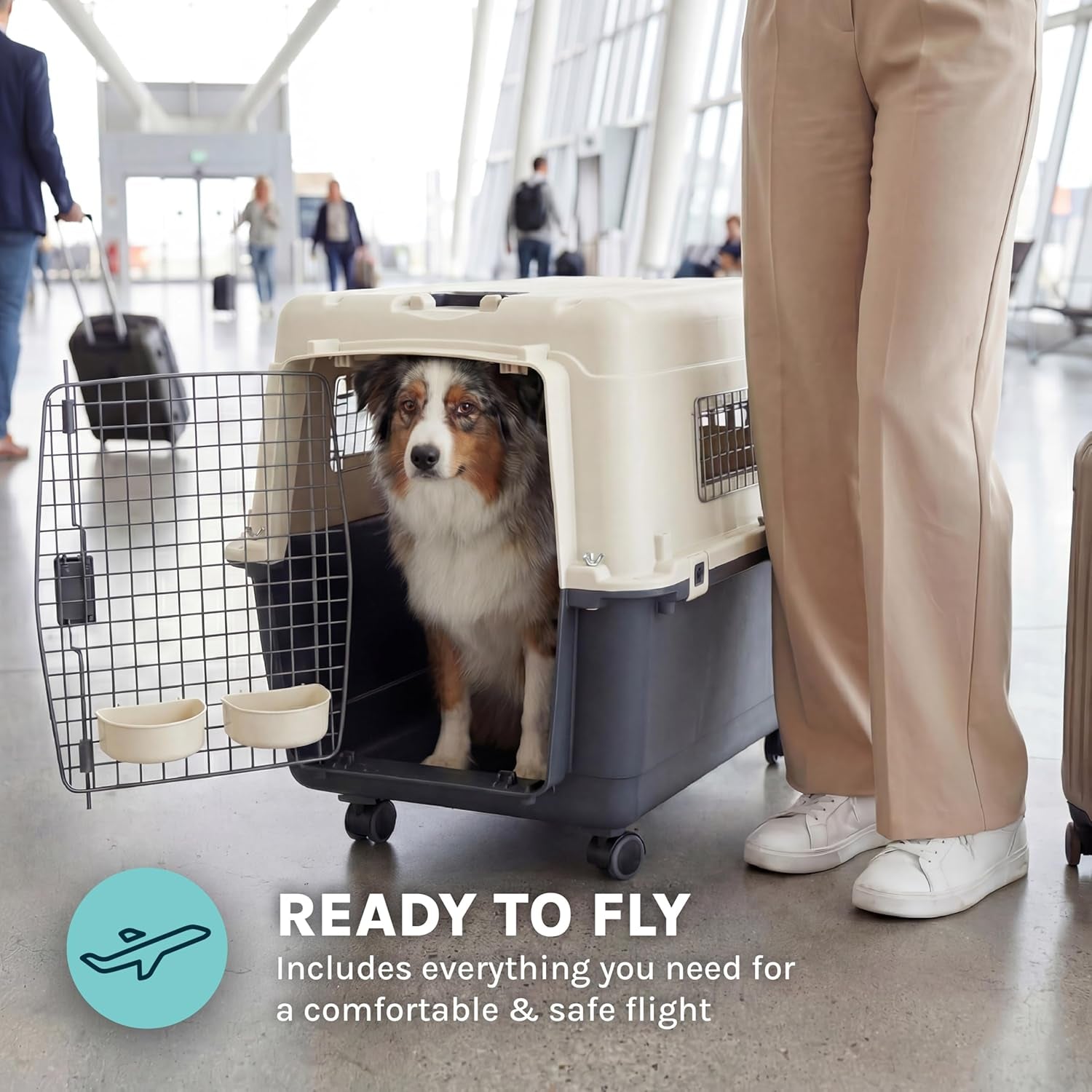 Sportpet Airline Compliant Large 31.5" Travel Dog Kennel - Durable Plastic Carrier with Removable Wheels and Food Bowls, Collapsible for Indoor/Outdoor Use, Suitable for Dogs up to 28"L and 20"H - Cream/Gray
