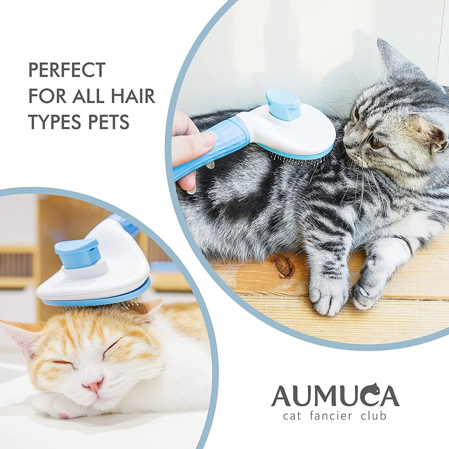 Self-Cleaning Slicker Brush for Cats and Dogs - Grooming Tool for Shedding Long or Short Hair