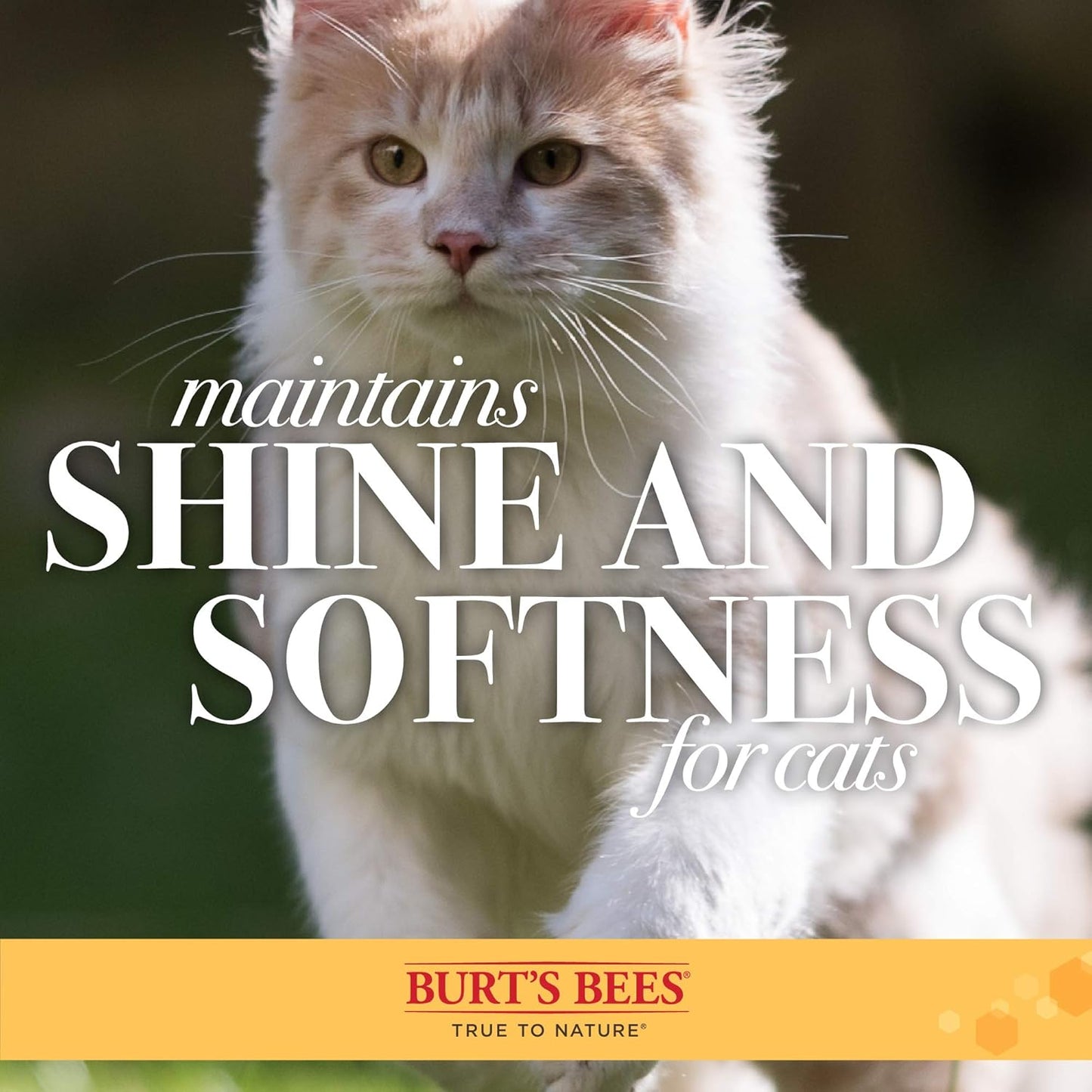 Double-Sided Pin and Bristle Brush for Effective Cat Grooming - Removes Loose Fur and Prevents Matting